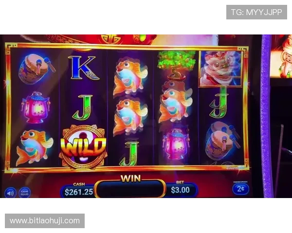 学习老虎机英文怎么说的方法,提升你的英语交流能力和游戏知识水平 学习老虎机英文怎么说的方法,提升你的英语交流能力和游戏知识水平