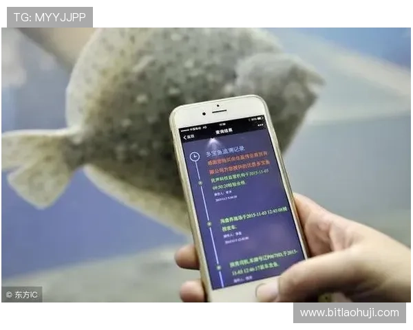 多宝电子官网安全登录技巧保障账号信息安全与个人隐私 多宝电子官网安全登录技巧保障账号信息安全与个人隐私