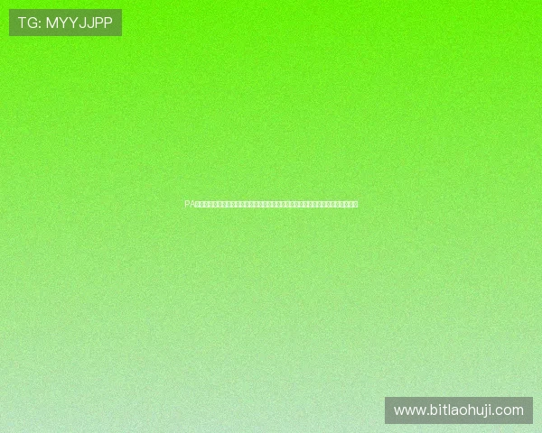 PA游戏官网网页：优化用户体验的世界杯专题网页设计满足不同用户的信息获取需求